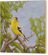 Goldfinch Wood Print