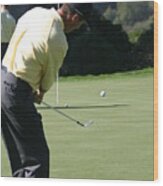 Golf Stephen Ames Wood Print
