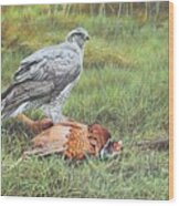 Goshawk Wood Print