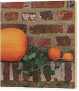Gourds On A Window Sill Wood Print