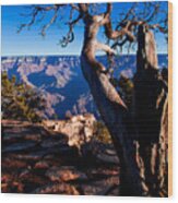 Grand Canyon 27 Wood Print