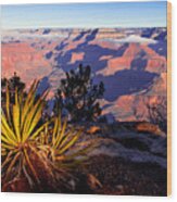 Grand Canyon 31 Wood Print