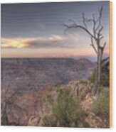 Grand Canyon 991 Wood Print