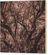 Grand Daddy Oak Tree In Infrared Wood Print