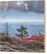 Grandfather Mountain Panorama 01 Wood Print