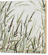 Grass Design Wood Print
