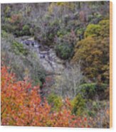 Graveyard Fields Lower Falls Wood Print