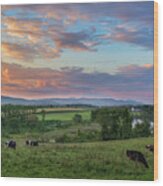 Grazing At Sunset Wood Print