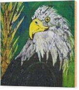 Great Bald Eagle Wood Print