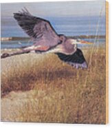 Great Blue Heron At The Beach Wood Print