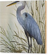 Great Blue Heron Shore Wood Print