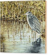 Great Blue Heron Wood Print