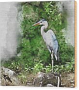 Great Blue Heron Watercolor Wood Print