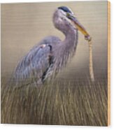 Great Blue Heron With Lunch Wood Print