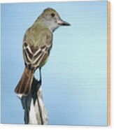 Great Crested Flycatcher I Wood Print