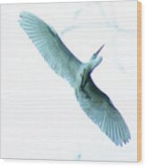 Great Egret At Avery Island Rookery Wood Print