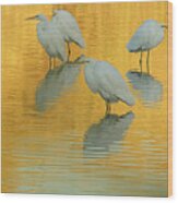 Great Egrets 5005-112813-4cr Wood Print