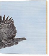 Great Gray Owl In Flight Wood Print