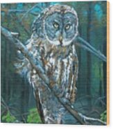 Great Grey Owl Wood Print