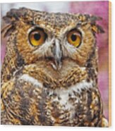 Great Horned Owl Wood Print