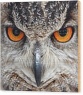 Great Horned Owl Wood Print