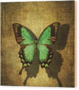 Green Butterfly Shadow Wood Print