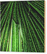 Green Leaf Forest Photo Wood Print