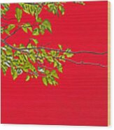 Green Leaves On A Red Background Wood Print