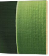 Green Wood Print