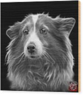 Greyscale Shetland Sheepdog Dog Art 9973 - Bb Wood Print