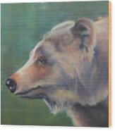 Grizzly Bear Portrait Wood Print