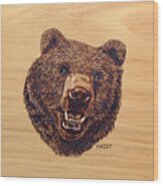 Grizzly Pillow/bag Wood Print