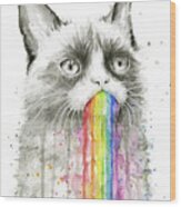 Grumpy Rainbow Cat Wood Print