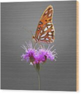 Gulf Fritillary Butterfly Wood Print