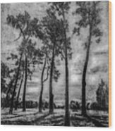 Hagley Park Treescape Wood Print