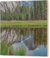Half Dome And The Meadow Wood Print