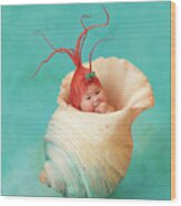 Halle As A Baby Shrimp Wood Print