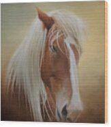 Handsome Belgian Horse Wood Print