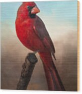 Handsome Cardinal Wood Print