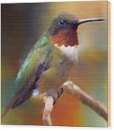 Handsome Hummingbird Wood Print