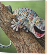 Happy Gecko Wood Print