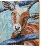 Happy Goat Wood Print