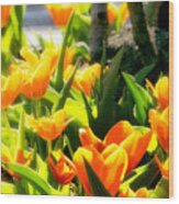 Happy Orange Tulips Wood Print