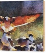 Harris Creek Gulls Wood Print