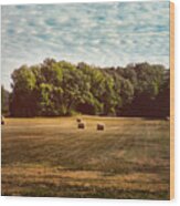 Harvest Time Wood Print