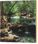 Havasu Creek In Campground Wood Print