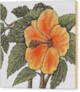 Hawaiian Hibsiscus Orange Wood Print