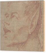 Head Of A Satyr Facing Left Wood Print