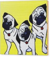 Head Tilt 3 Pug Puppies Wood Print