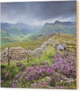 Heather And The Langdale Pikes On A Stormy Day In The Lake District Wood Print